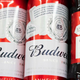 budweiser beer on shelf